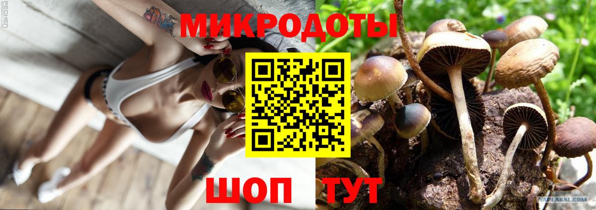 Псилоцибиновые грибы MAGIC MUSHROOMS  Вход с VPN  Солнечногорск 