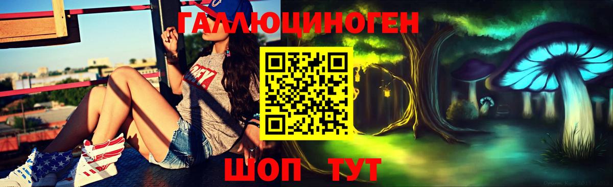 Псилоцибиновые грибы мухоморы Солнечногорск